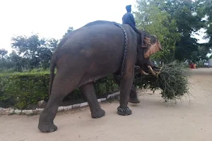 Naniyala Elephant Camp image
