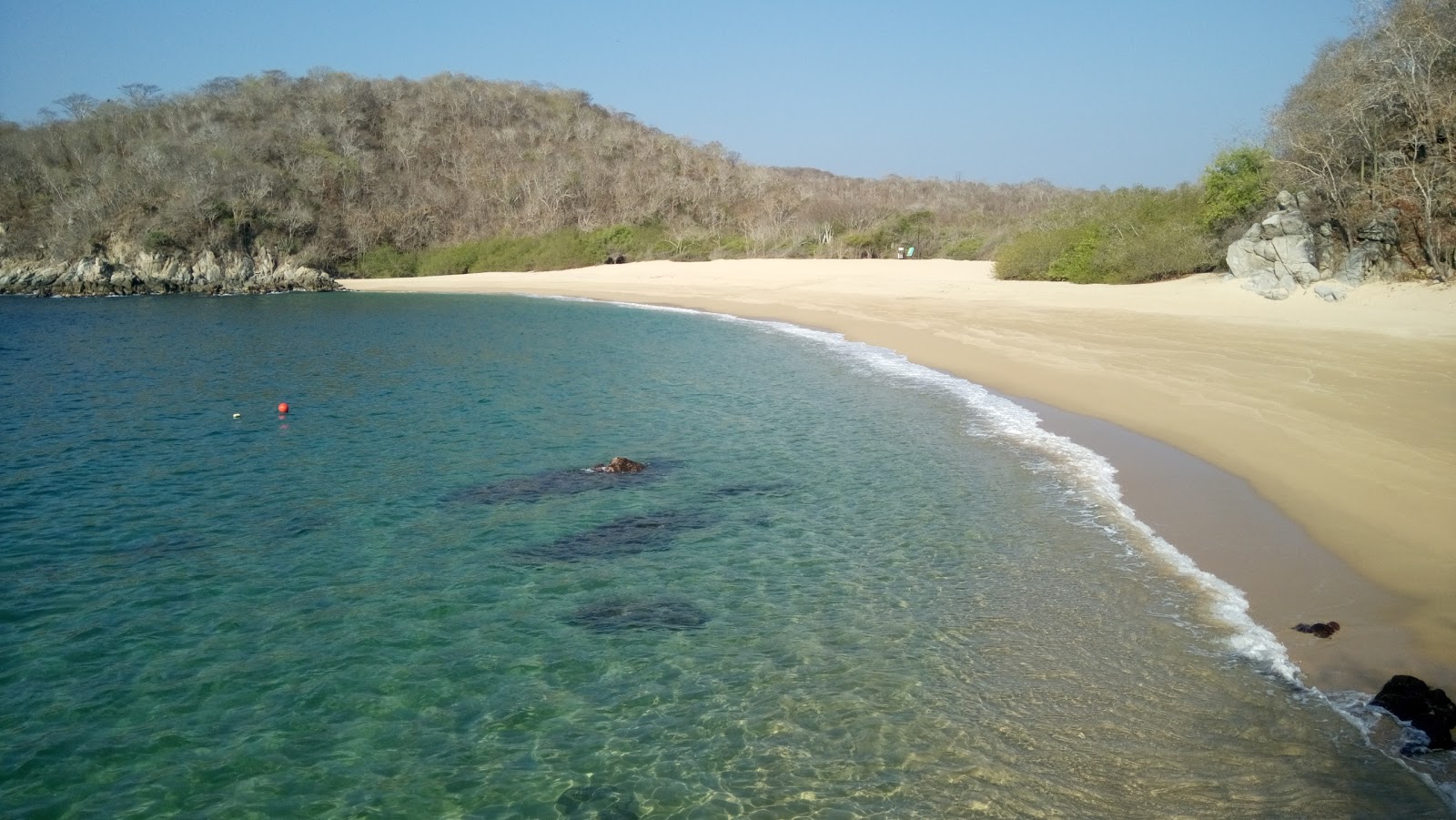 Organo beach的照片 带有碧绿色纯水表面