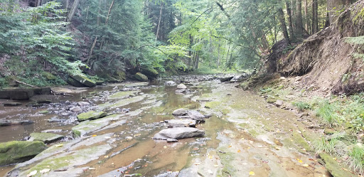 Tourist Attraction «Winsdor Mills Covered Bridge», reviews and photos, 7696 Warner Hollow Rd, Windsor, OH 44099, USA