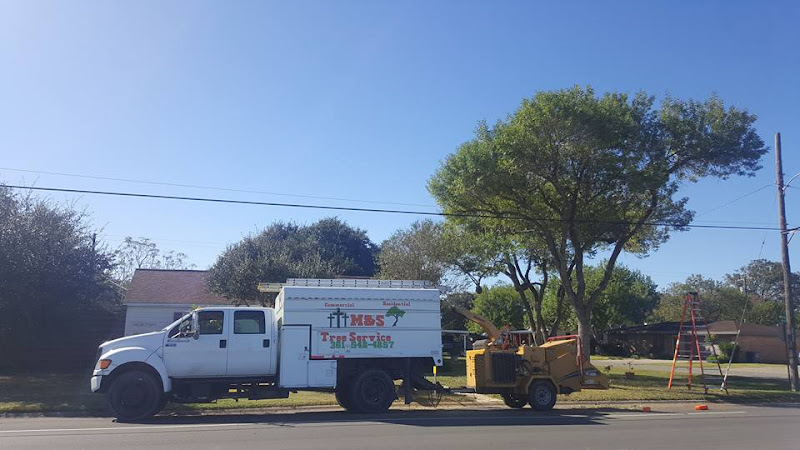 M & S Tree and Lawn Services