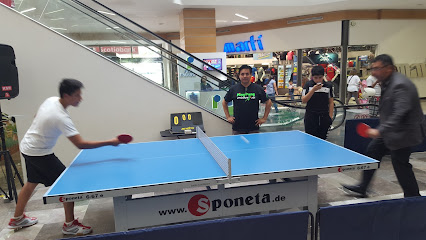 Mesas de Ping Pong