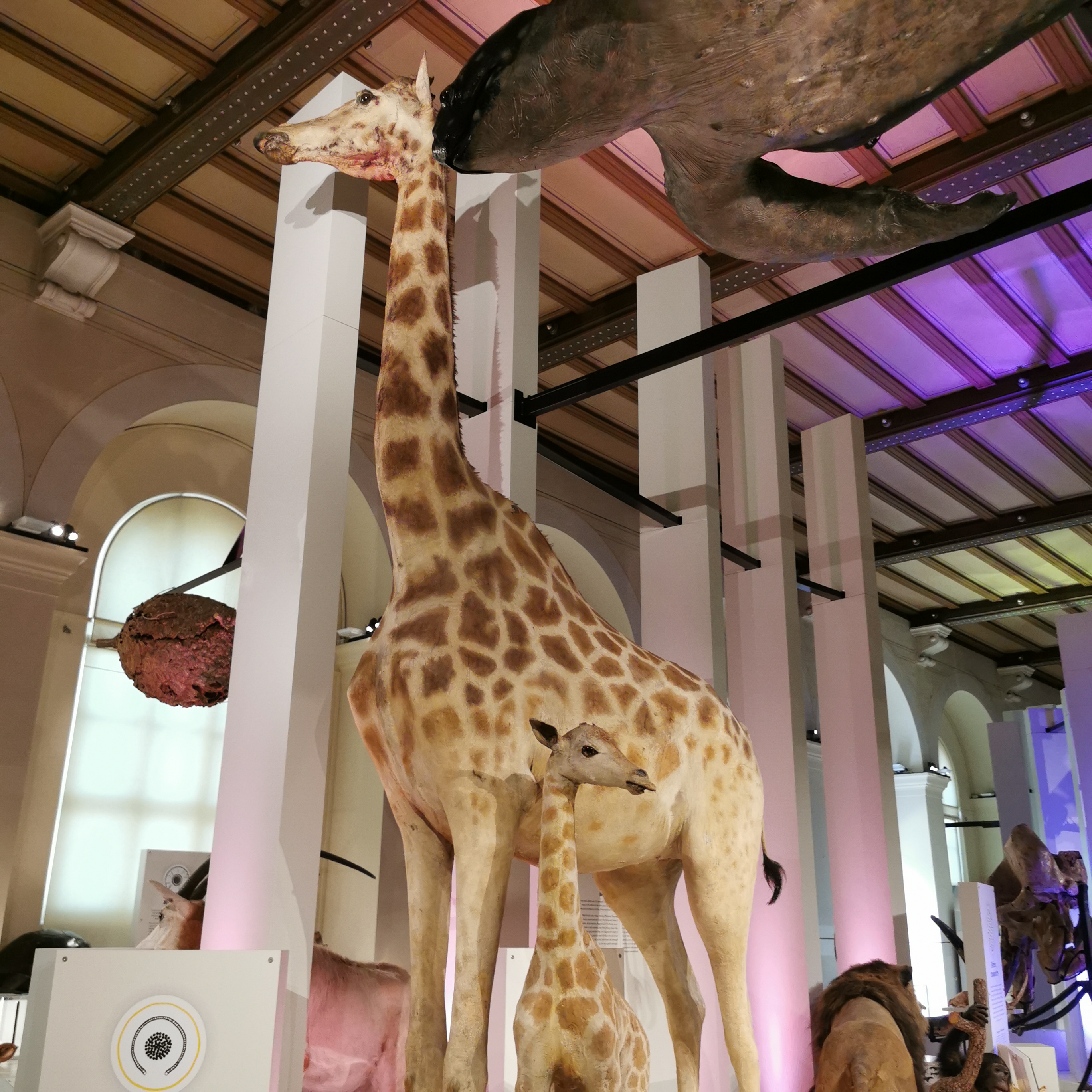 Photo n° 12 de l'avis de Laura.u fait le 22/12/2022 à 08:29