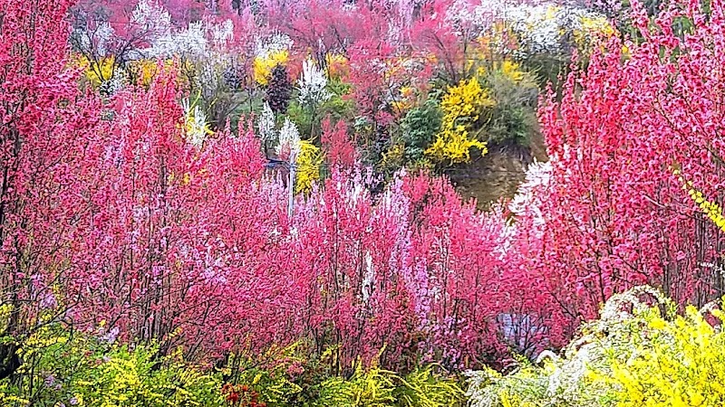 花やしき公園