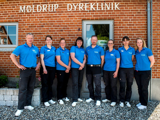 Møldrup Dyreklinik in Møldrup Municipality, Vesthimmerland