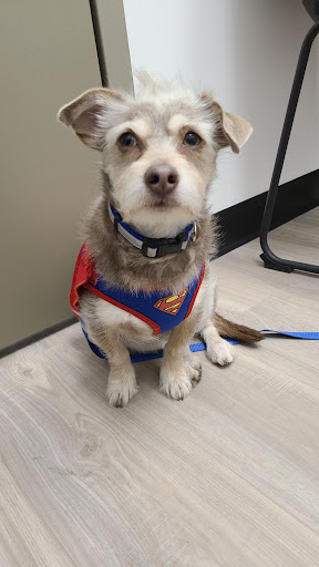 Pet Supply Store «Pet Club Cave Creek», reviews and photos, 4725 E Carefree Hwy, Cave Creek, AZ 85331, USA