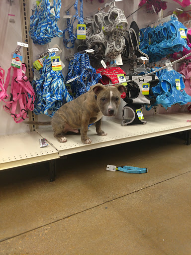 Pet Supply Store «PetSmart», reviews and photos, 160 Wadsworth Blvd, Lakewood, CO 80226, USA