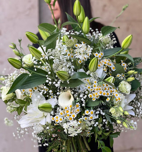 Hair Salon «Aylin Beauty Salon & Spa», reviews and photos, 820 E 41st St, Hialeah, FL 33013, USA