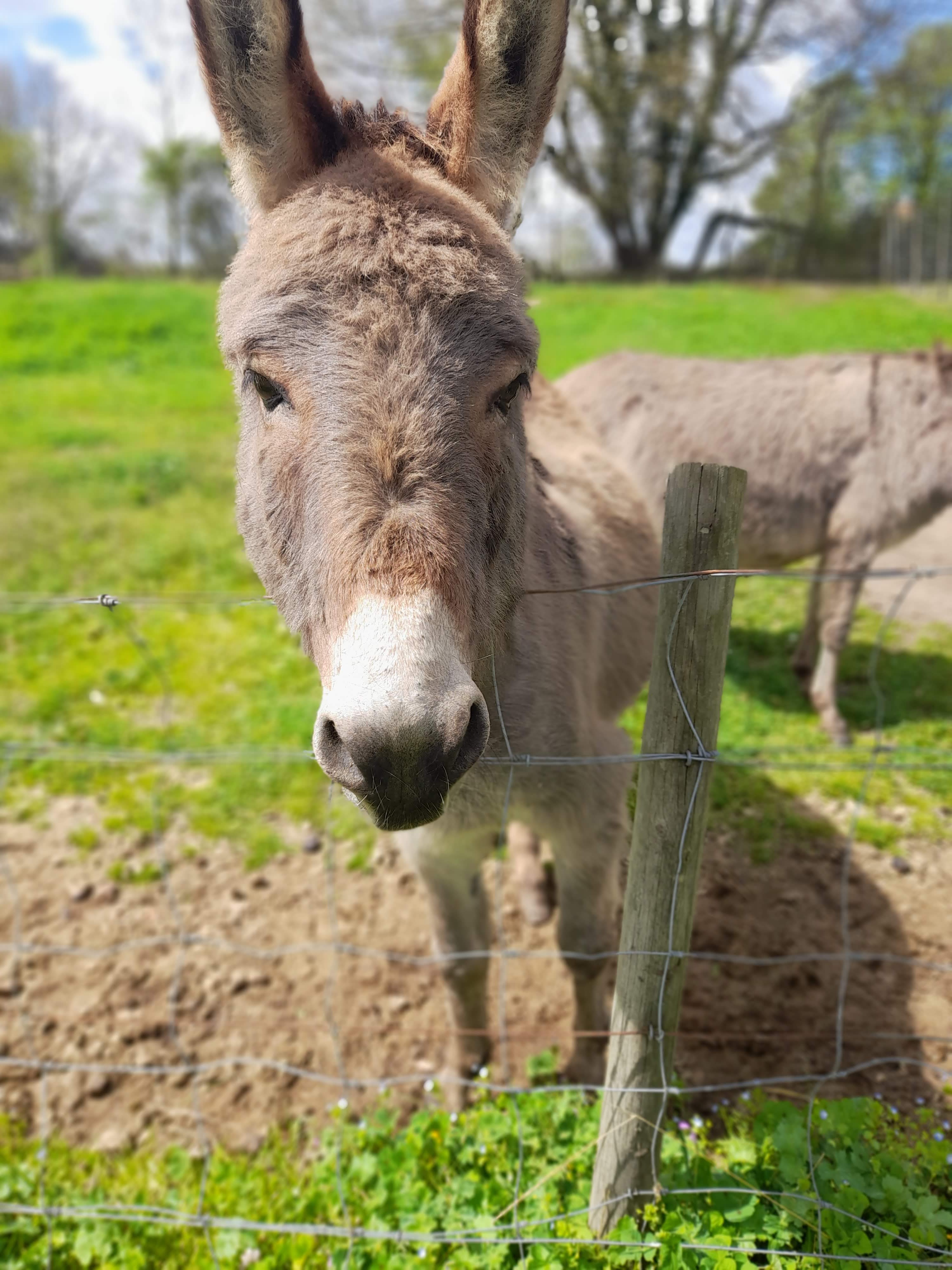 Photo n° 3 de l'avis de Pascale.h fait le 23/04/2023 à 15:29