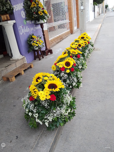Florería Gardenia – Aguascalientes