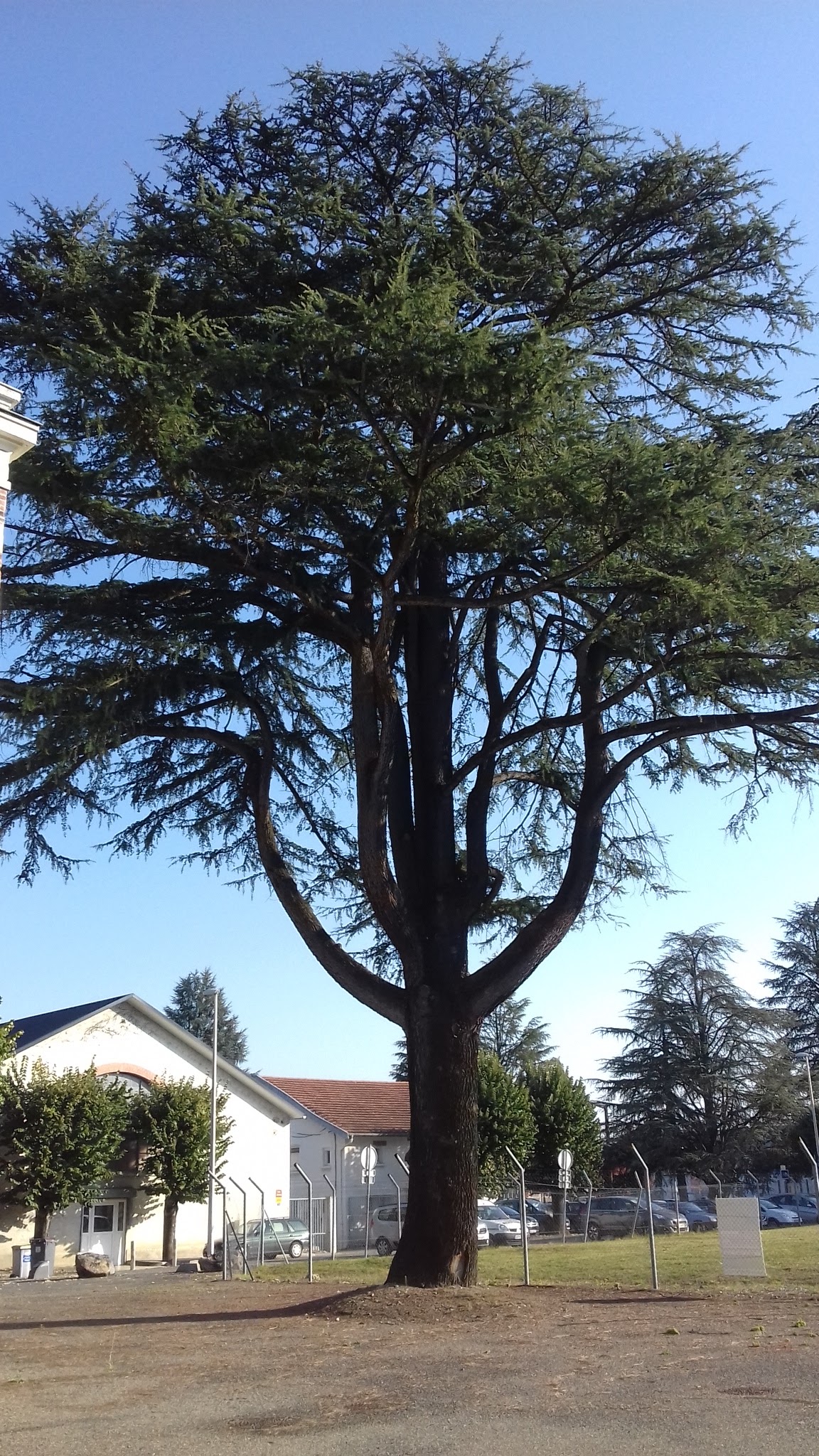 Photo n° 12 de l'avis de JÉJÉ. fait le 15/10/2017 à 11:17