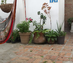 Ernesto's Good Grub photo