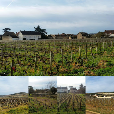 Domaine Vincent et François Jouard à Chassagne-Montrachet