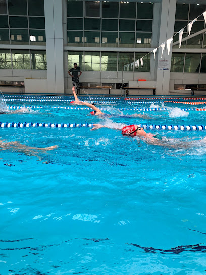 Atıcılar Olimpik Yüzme Havuzu Cimnastik Salonu