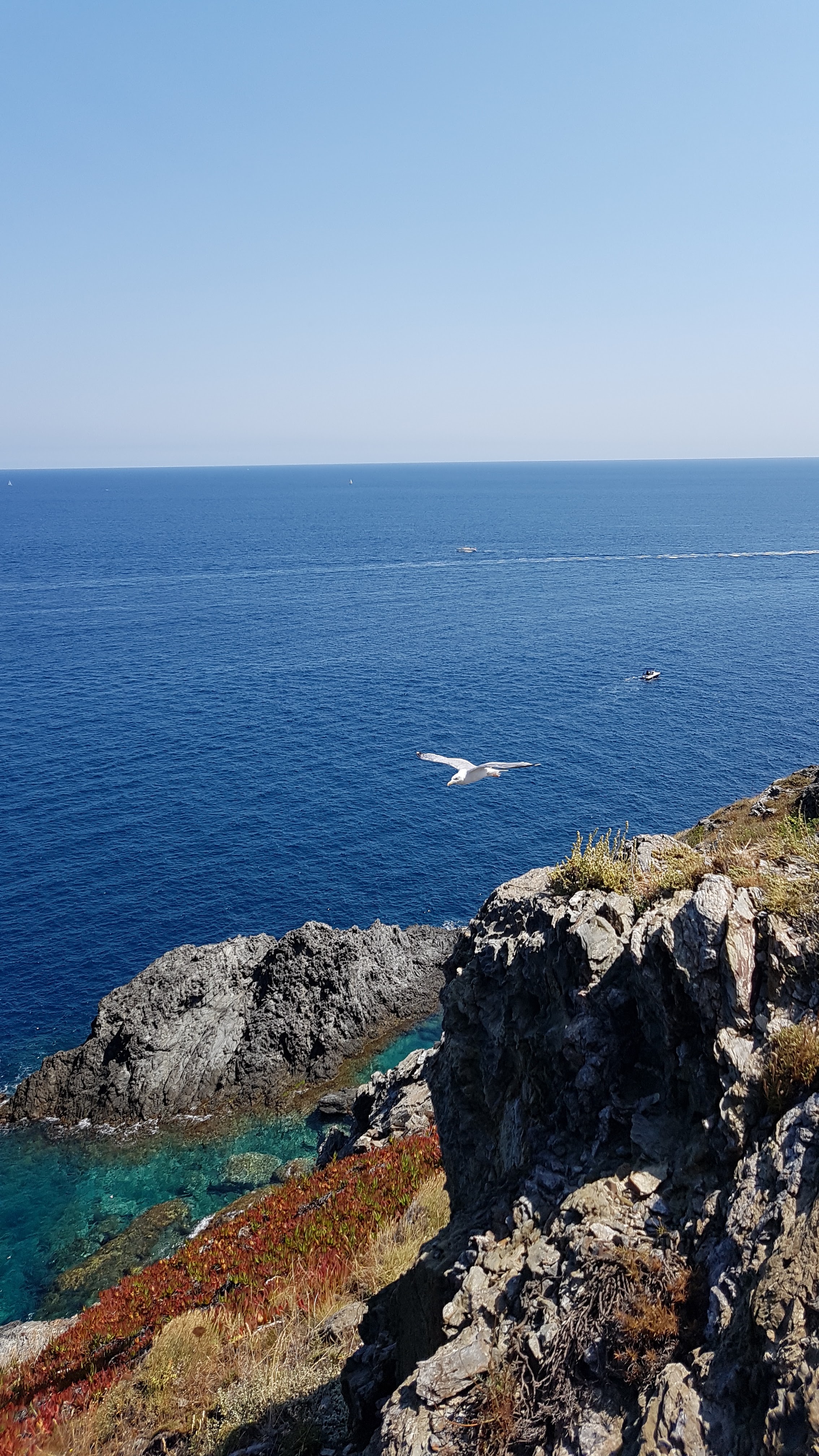 Photo n° 1 de l'avis de Lou-Ann.u fait le 20/08/2018 à 05:31
