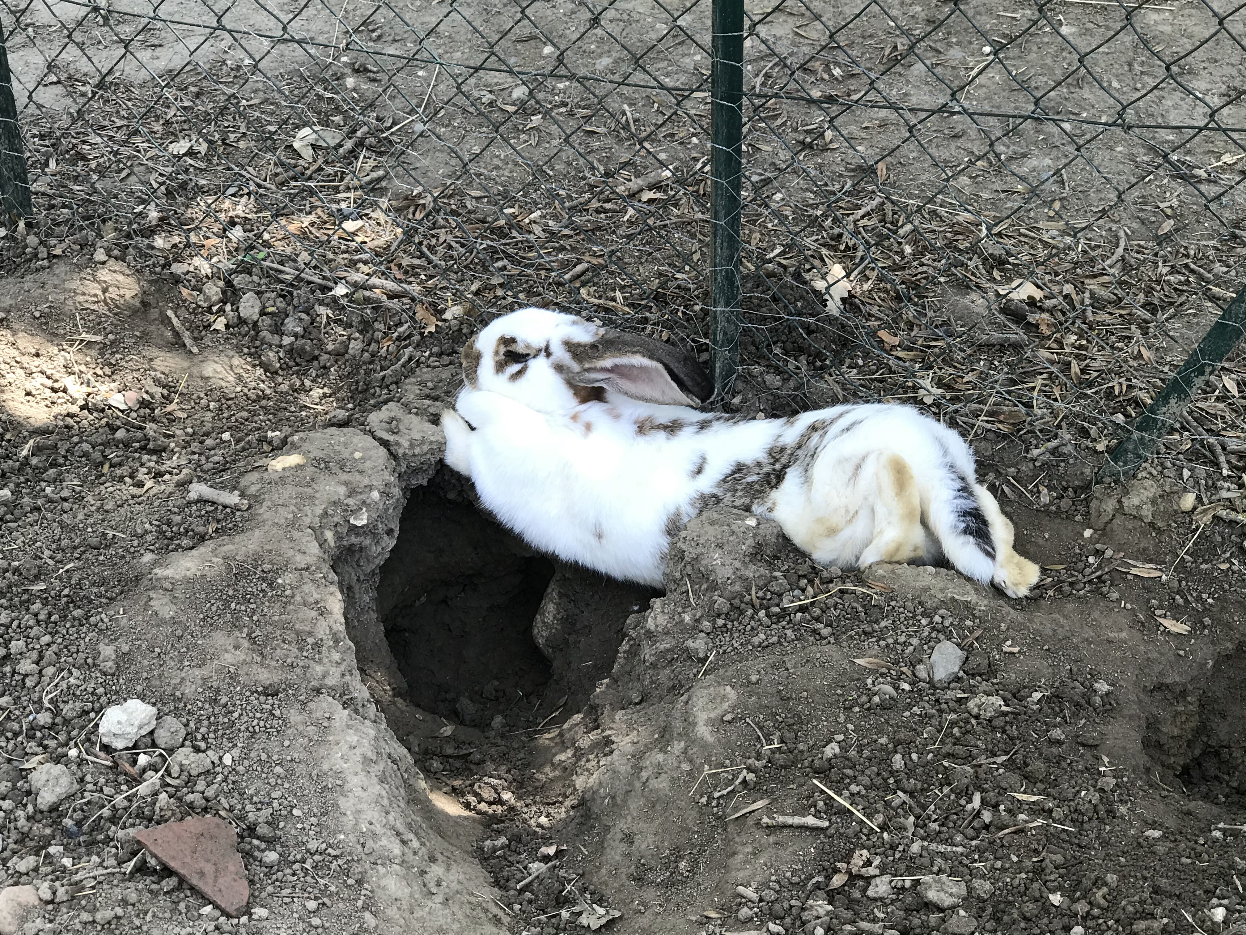 Photo n° 1 de l'avis de Kevin. fait le 30/08/2019 à 18:03