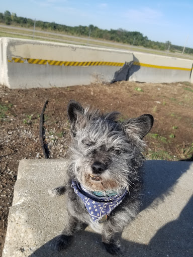 Convenience Store «24/7 Travel Stores-Maple Hill, Kansas», reviews and photos, 32981 Windy Hill Rd, Maple Hill, KS 66507, USA