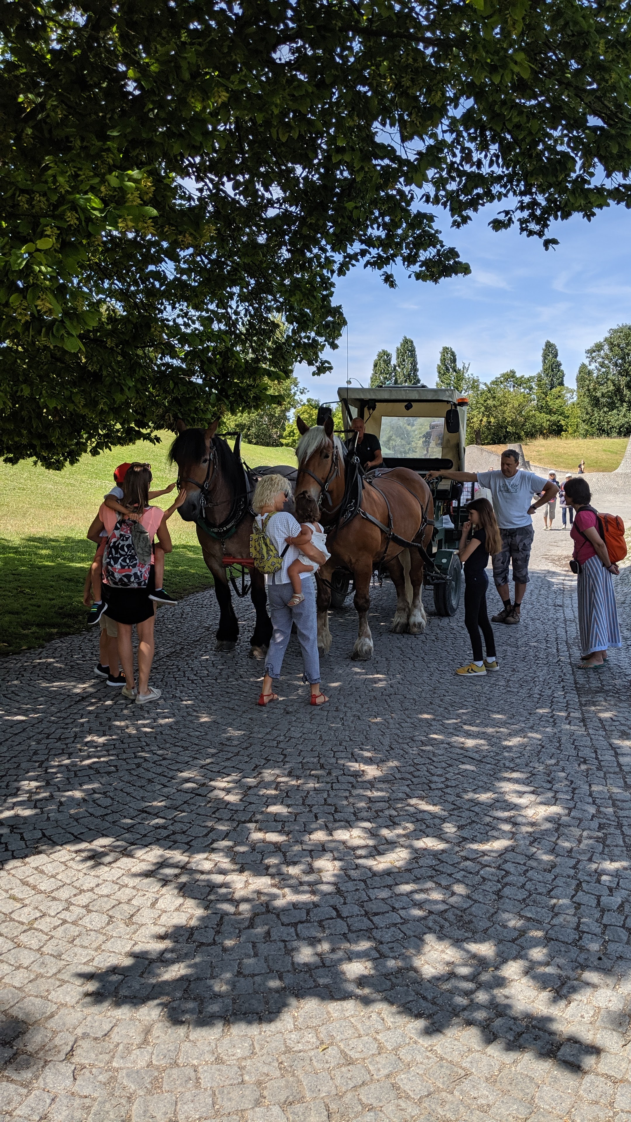 Photo n° 20 de l'avis de Jose.u fait le 28/07/2019 à 17:10