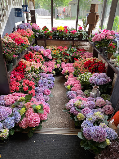 Florist «The Flower Box», reviews and photos, 910 Martin Luther King St, Georgetown, TX 78626, USA