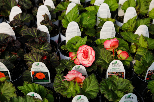 Plant Nursery «Blooming Acres», reviews and photos, 7561 State Rd, Wadsworth, OH 44281, USA