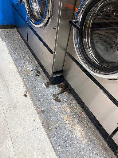 Laundromat «Happy Coin Laundry», reviews and photos, 13035 Magnolia St, Garden Grove, CA 92844, USA