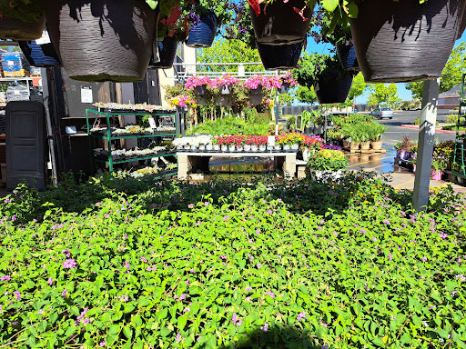 Home Improvement Store «The Home Depot», reviews and photos, 2580 Notre Dame Blvd, Chico, CA 95928, USA