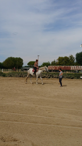 Club d'équitation Montpellier