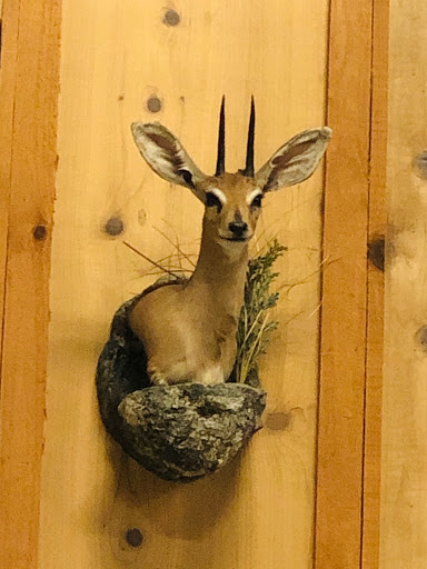 Sporting Goods Store «Nichols Store», reviews and photos, 1980 Mt Holly Rd, Rock Hill, SC 29730, USA