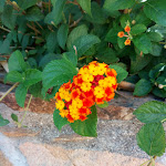 Photo n°9 de l'avis de Simona.a fait le 24/08/2019 à 10:24 sur le  Club Hotel Torre Moresca à Cala Liberotto