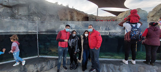 Gift Shop «Pacific Collections Gift Shop», reviews and photos, 100 Aquarium Way, Long Beach, CA 90802, USA