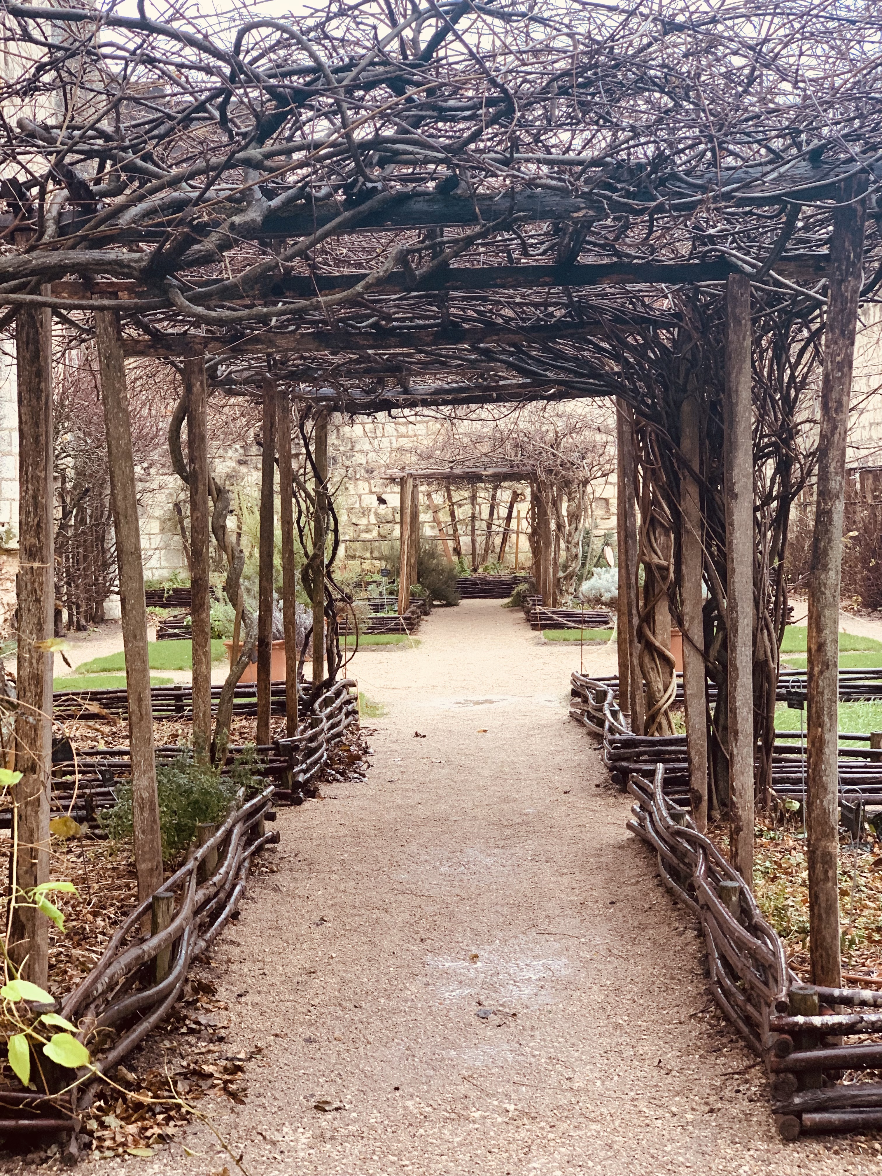 Photo n° 4 de l'avis de Muriel.. fait le 12/01/2023 à 12:50