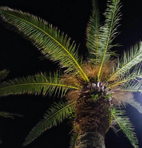 Convention Center «Ocean Center», reviews and photos, 101 N Atlantic Ave, Daytona Beach, FL 32118, USA