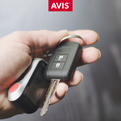 Avis Delivery & Collection - Mangalia
