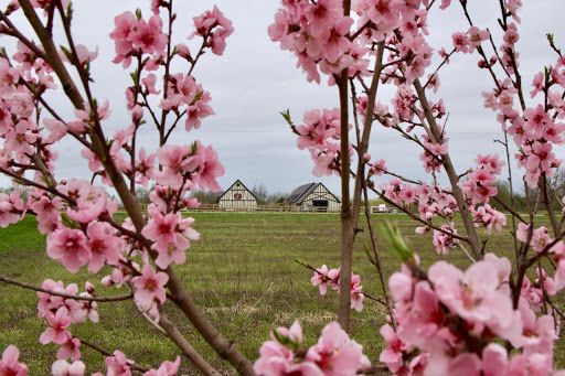 Cider Mill «Virtue Cider», reviews and photos, 2170 62nd St, Fennville, MI 49408, USA