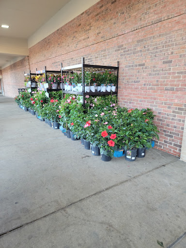 Shopping Mall «Main Street Shopping Center», reviews and photos, 110 Cherokee Pl, Cartersville, GA 30121, USA