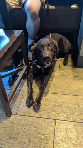 Coffee Shop «Caribou Coffee & Einstein Bros. Bagels», reviews and photos, 2080 W Northern Ave, Phoenix, AZ 85021, USA