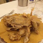 Photo n°1 de l'avis de CRISTINA.A fait le 14/06/2022 à 05:43 sur le  Il Bolognese da Sauro à Marina di Bibbona