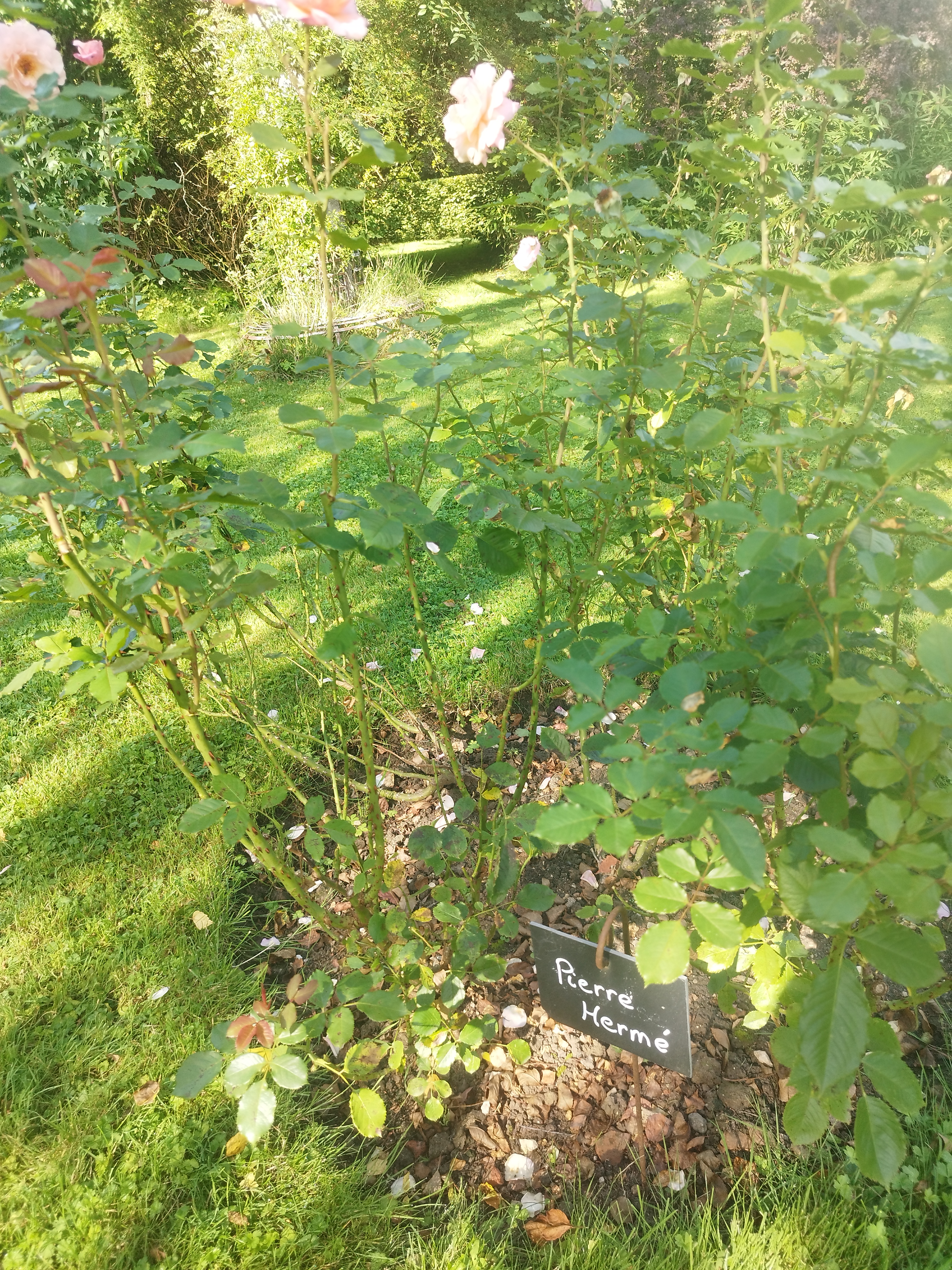 Photo n° 17 de l'avis de Jaime.a fait le 26/08/2023 à 13:51
