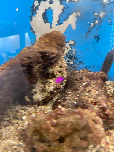 Pet Store «Pet World Warehouse Outlet», reviews and photos, 2984 S 108th St, Milwaukee, WI 53227, USA