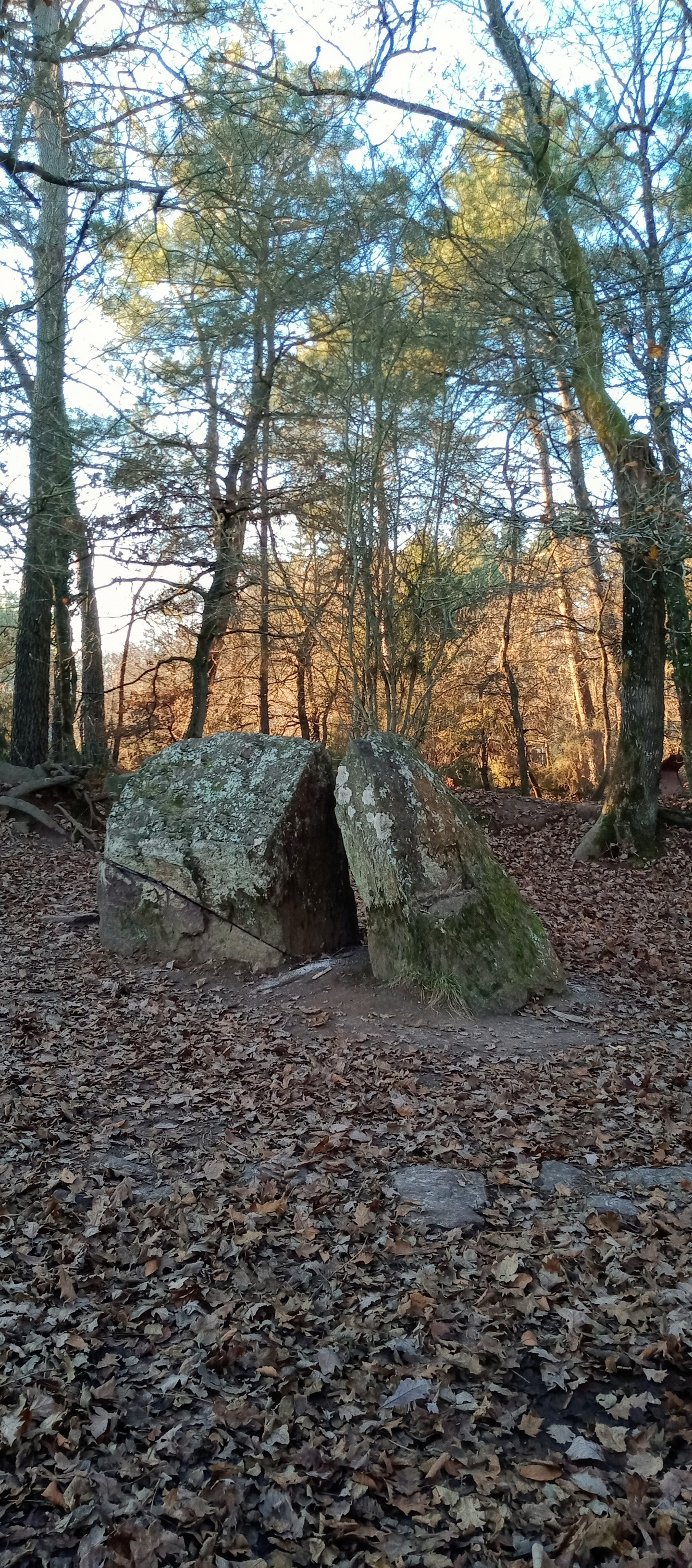 Photo n° 3 de l'avis de Thierry.e fait le 19/12/2021 à 15:02