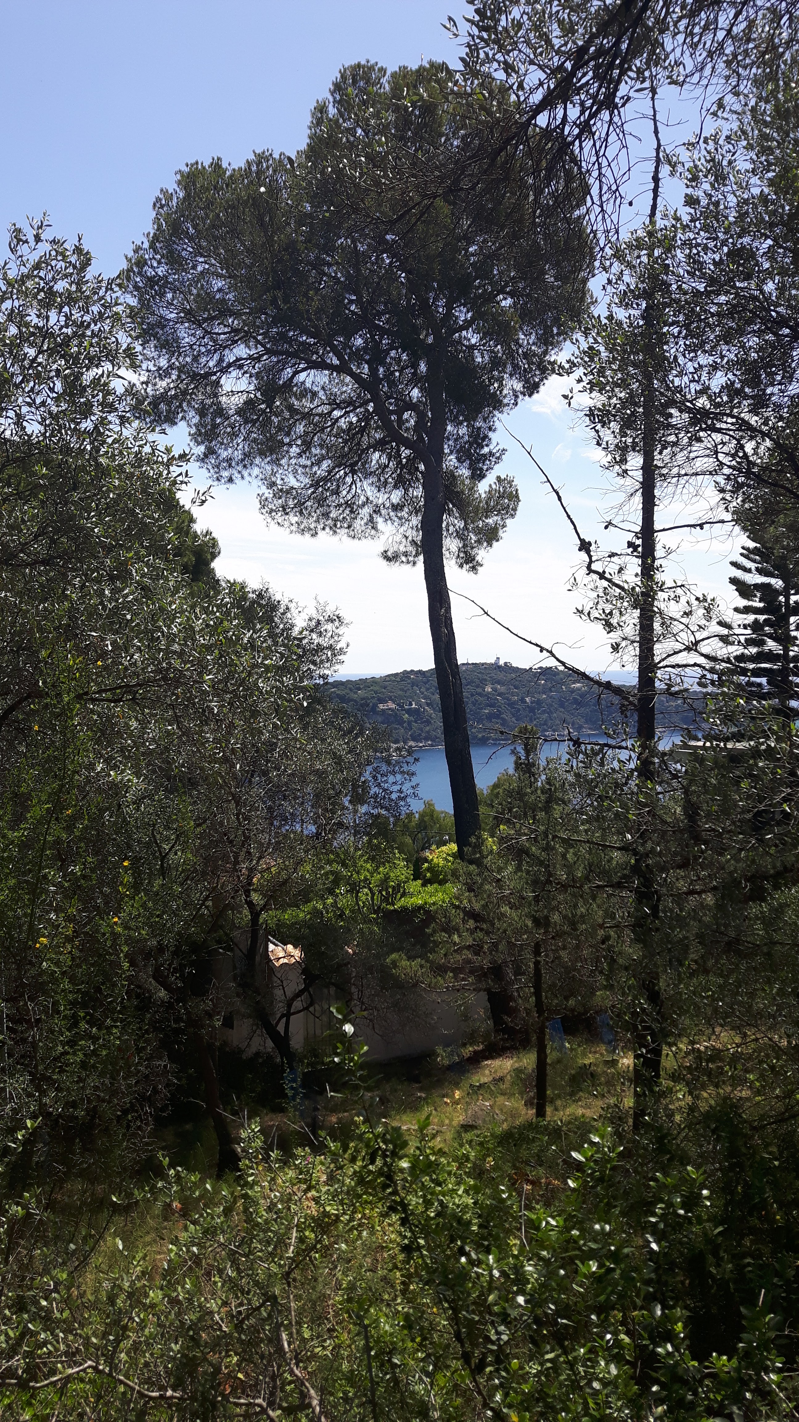 Photo n° 5 de l'avis de Marie.a fait le 16/05/2023 à 22:04