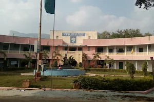 College of Veterinary Science, image