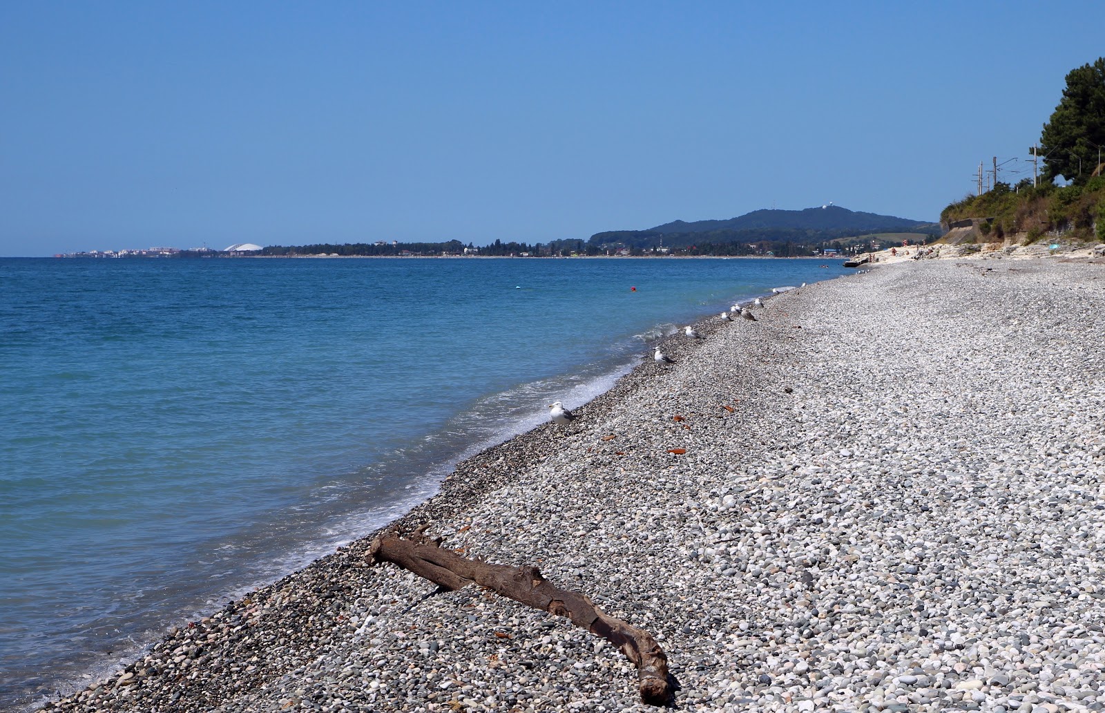 Photo de Solnechnyi beach avec rivage droit, long