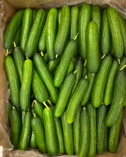 Kosher Grocery Store «Al-Taiba Market», reviews and photos, 1008 W Chapel Hill St, Durham, NC 27707, USA