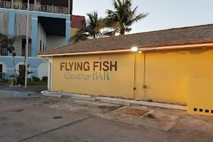 Flying Fish GastroBar image