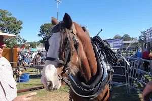 Boonah Showgrounds image