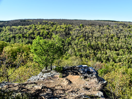 Benefield Loop Trailhead