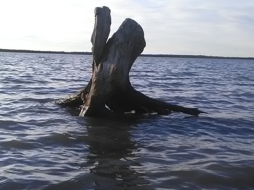 State Park «Cedar Hill State Park», reviews and photos, 1570 FM1382, Cedar Hill, TX 75104, USA