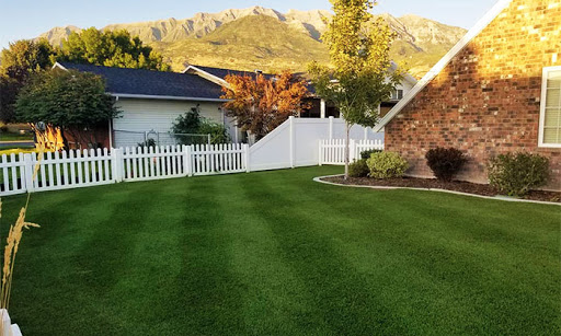 All Green Pest Control and Lawn Care