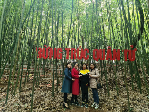 Khu Du Lịch Rừng Vàng