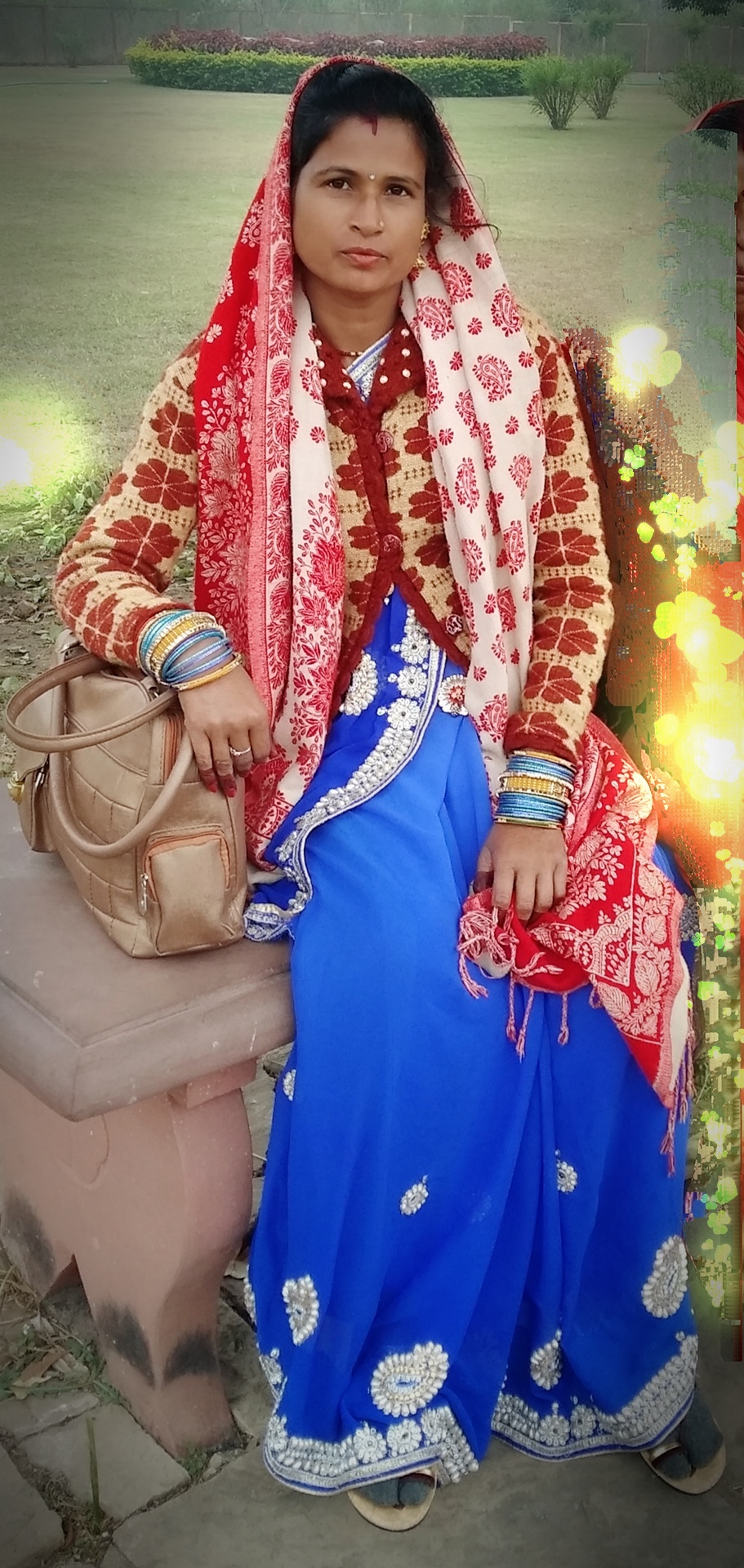 ममता टेलर अशोक नागर